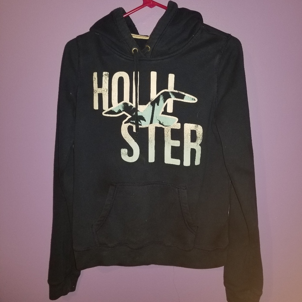 Hollister sweatshirt